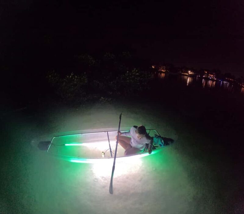 Longboat Key Clear Kayak LED Illuminated Night Tour Sarasota - Pricing and Value