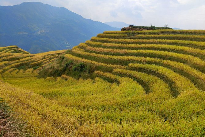 Longji Rice Terraces Day Tour From Guilin Hotel - Itinerary Overview