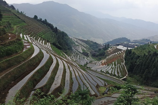 Longji Rice Terraces Day Tour From Guilin Hotel - Pickup Information