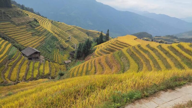 Longji Rice Terraces: Full-Day Private Tour From Guilin - Itinerary and Highlights