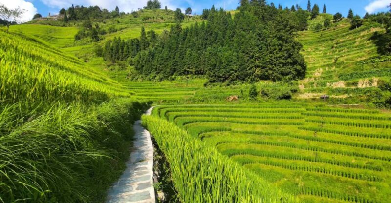 Longji Rice Terraces: Full-Day Private Tour From Guilin - Tour Inclusions and Exclusions