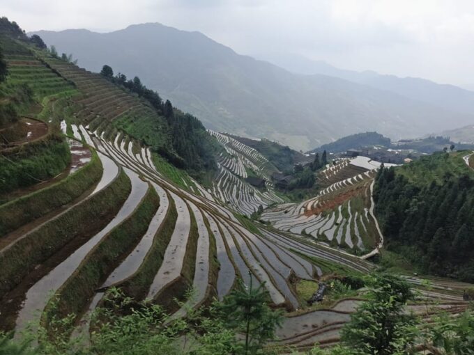 Longji Rice Terraces: Full-Day Private Tour From Guilin - Transportation Details