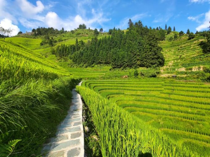 Longji Rice Terraces: Full-Day Private Tour From Guilin - Cultural Immersion Experiences