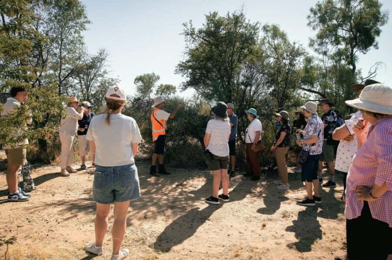 Longreach: Great Darr River Rail Run Outback Rail Adventure - What to Expect at the Darr River Stop