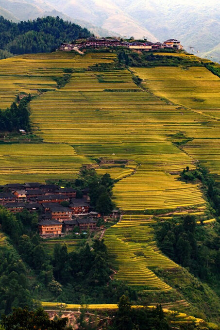 Longsheng Ethnic Minority & Rice Terraces Full-Day Tour - Seasonal Changes in Terrace Colors