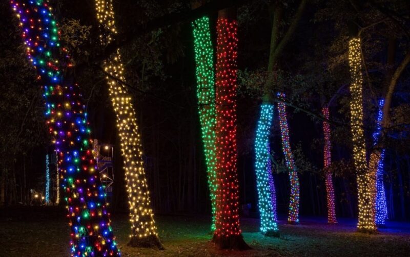Longwood Gardens Holiday Lights Tour from Philadelphia - A Closer Look at the Tour Experience