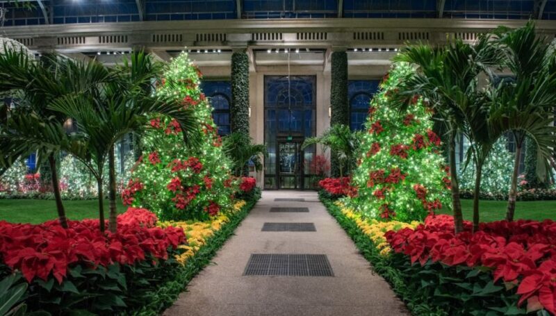 Longwood Gardens Holiday Lights Tour from Philadelphia - In The Sum Up