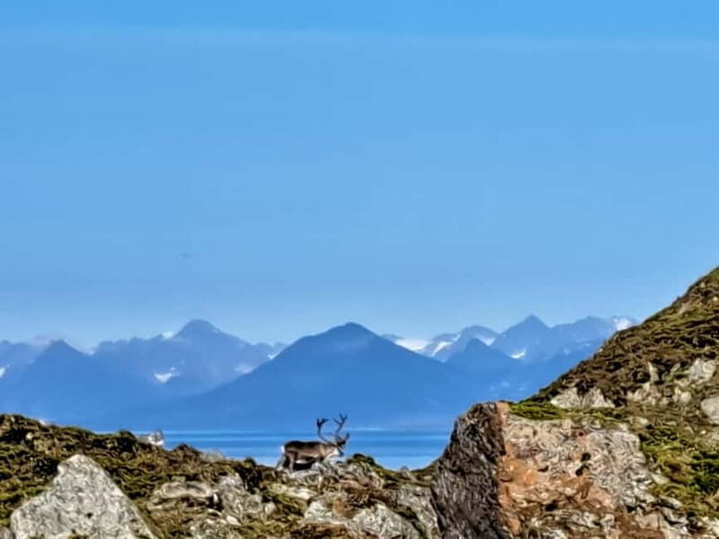 Longyearbyen: 10-Day Spitsbergen Cruise on Havella Boat - A Genuine Look at the 10-Day Spitsbergen Cruise