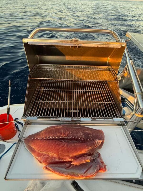 Loreto, Baja California, Mexico - Catamaran Sailing Cruise - Final Thoughts