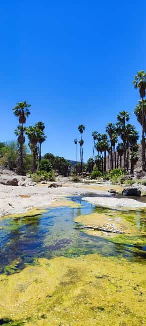 LORETO:Experience the SPEED UTV!4 hours of adrenaline!!COME! - Final Thoughts