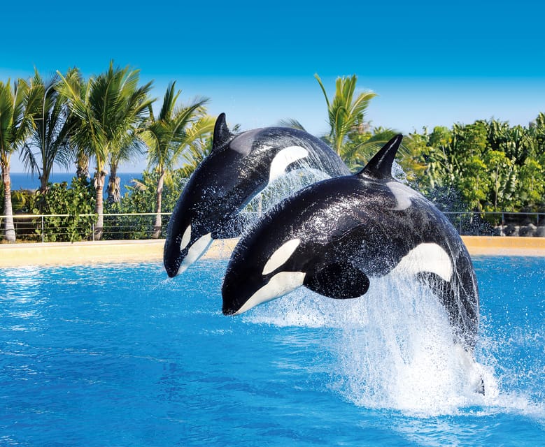 Loro Parque and Siam Park Combined Admission Tickets - Visitor Experience at Loro Parque
