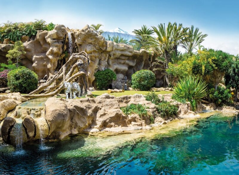 Loro Parque and Siam Park Combined Admission Tickets - Transportation and Access to Loro Parque