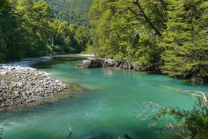 Los Alerces National Park, Esquel - Half Day - Guided Exploration Experience