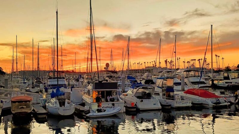 Los Angeles #1: Luxury Boat Cruise-Wine, Cheese & Sea Lions - The Itinerary: What to Expect on Your Afternoon or Evening Out