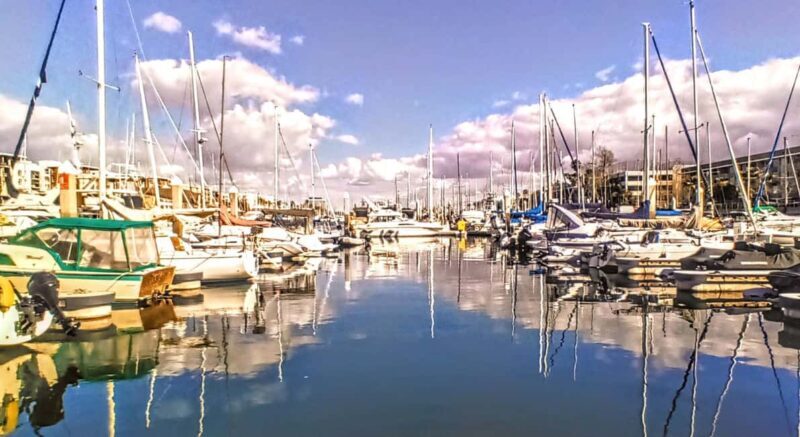 Los Angeles #1: Luxury Boat Cruise-Wine, Cheese & Sea Lions - The Reviews: What Participants Say