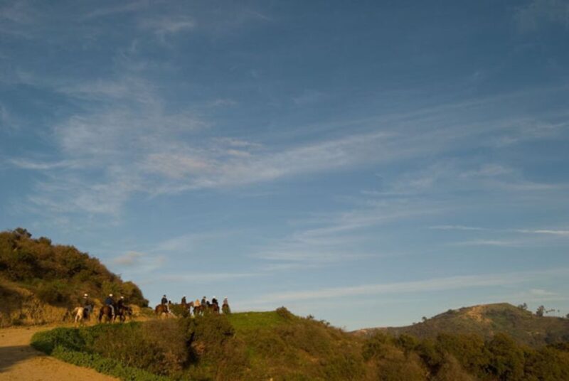 Los Angeles: 2-Hour Hollywood Trail Horseback Riding Tour - What the Reviews Say