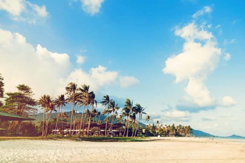 Los Angeles: 7-Hours City & Beach Tour With Hotel Pick Up - Key Points