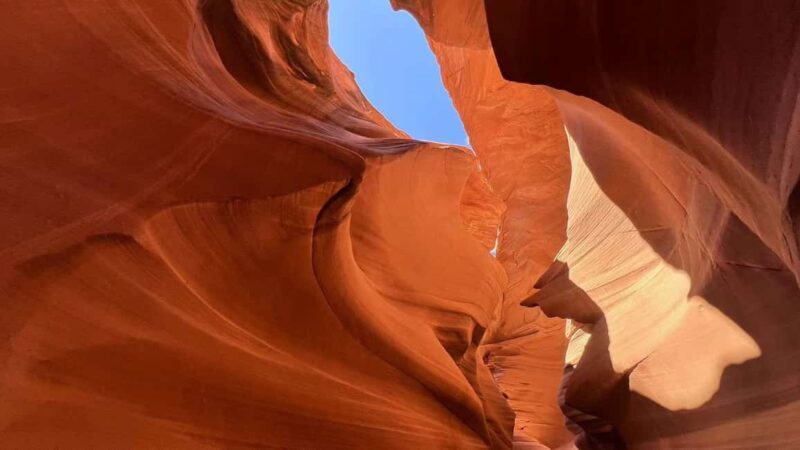 Los Angeles: 8-Day Antelope and Yellowstone Tour - The Sum Up