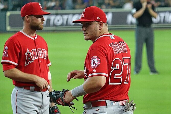 Los Angeles Angels Baseball Game at Angel Stadium - Who Should Consider This Tour?