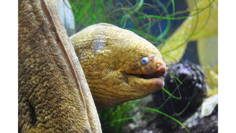 Los Angeles: Heal The Bay Aquarium in Santa Monica - Interactive Exhibits