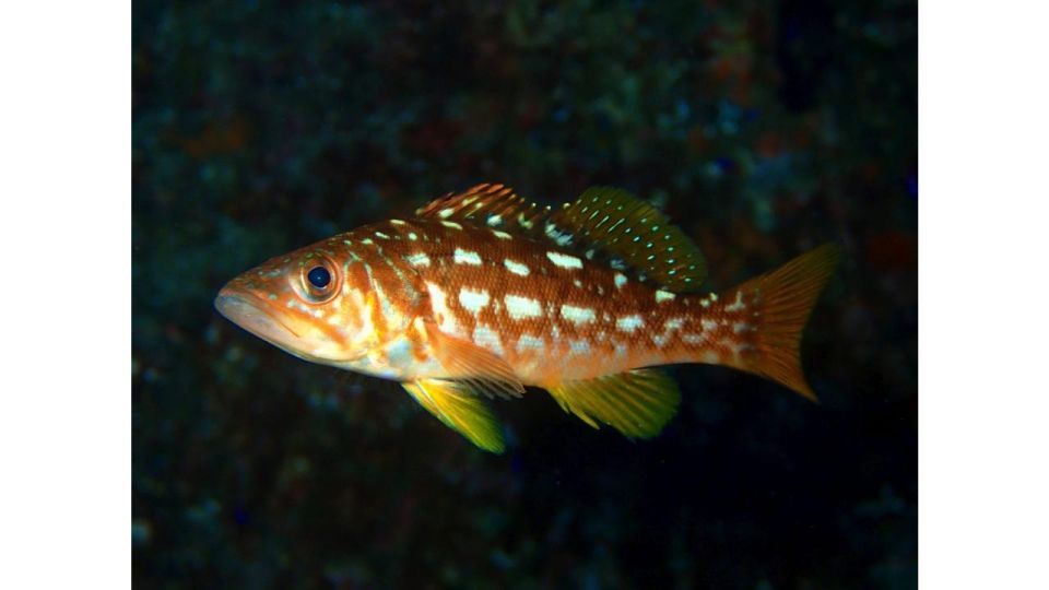 Los Angeles: Heal The Bay Aquarium in Santa Monica - Conservation Initiatives