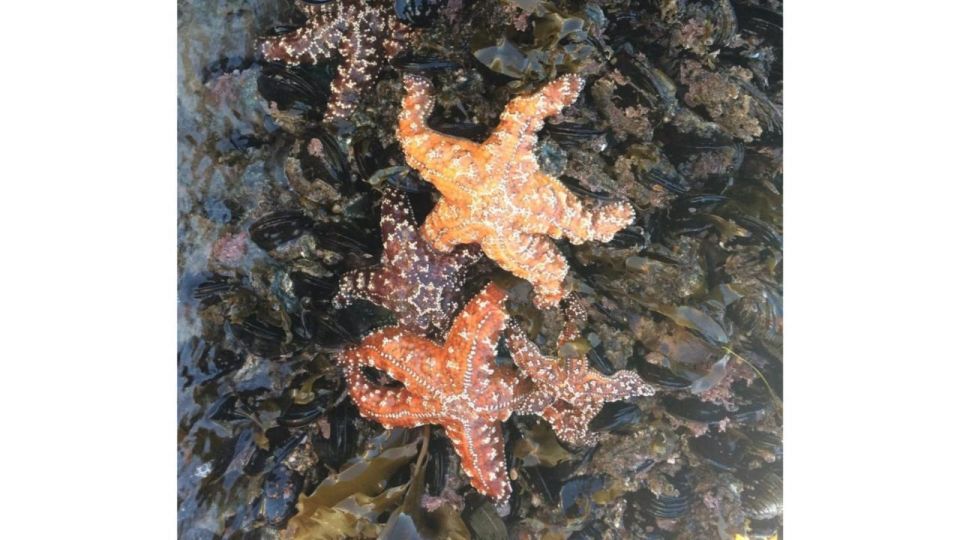 Los Angeles: Heal The Bay Aquarium in Santa Monica - Frequently Asked Questions