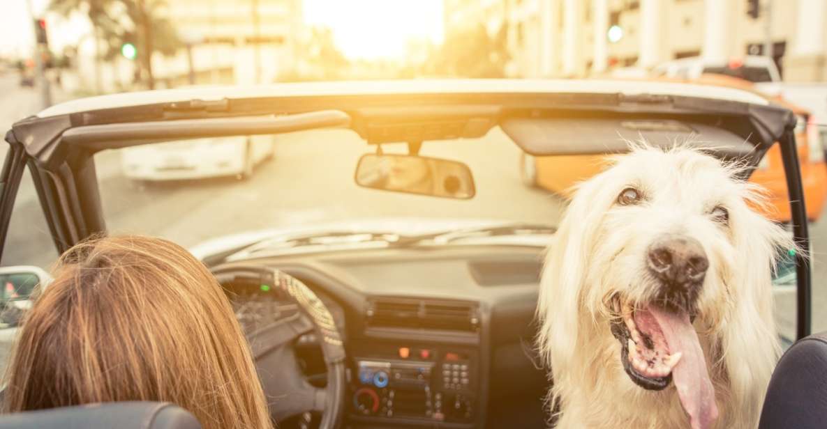 Los Angeles: Hollywood Homes & Filming Sites Audio Tour App - Key Highlights