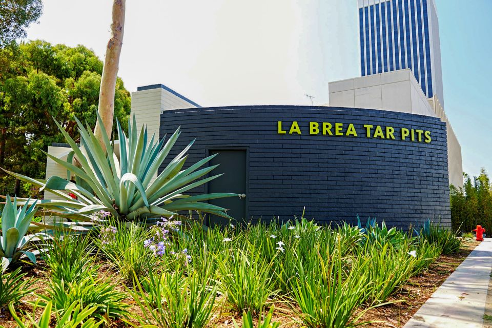 Los Angeles: La Brea Tar Pits Museum Ticket - Tar Bubbling From the Ground