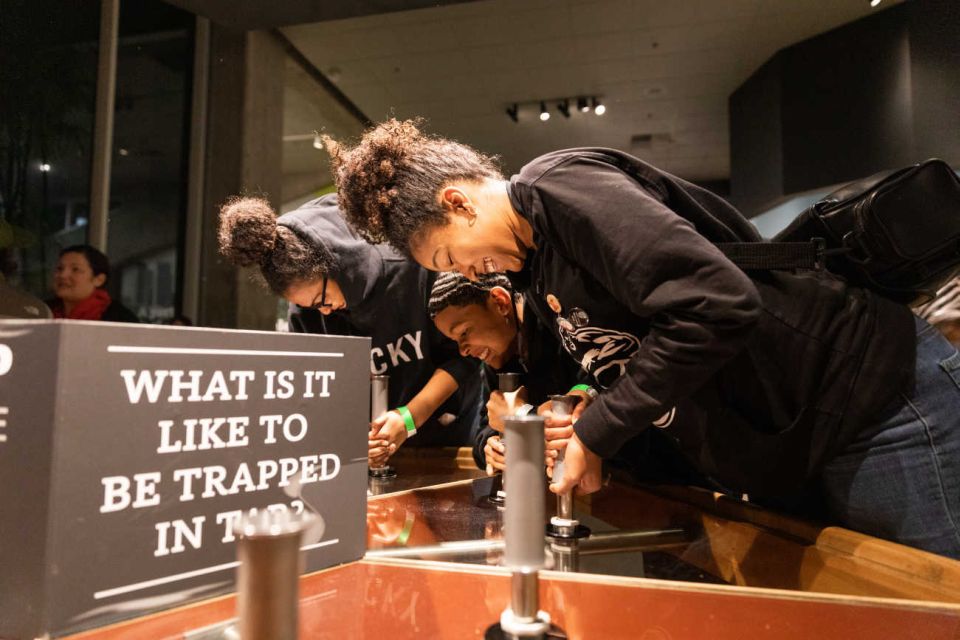 Los Angeles: La Brea Tar Pits Museum Ticket - Ticket Information and Inclusions