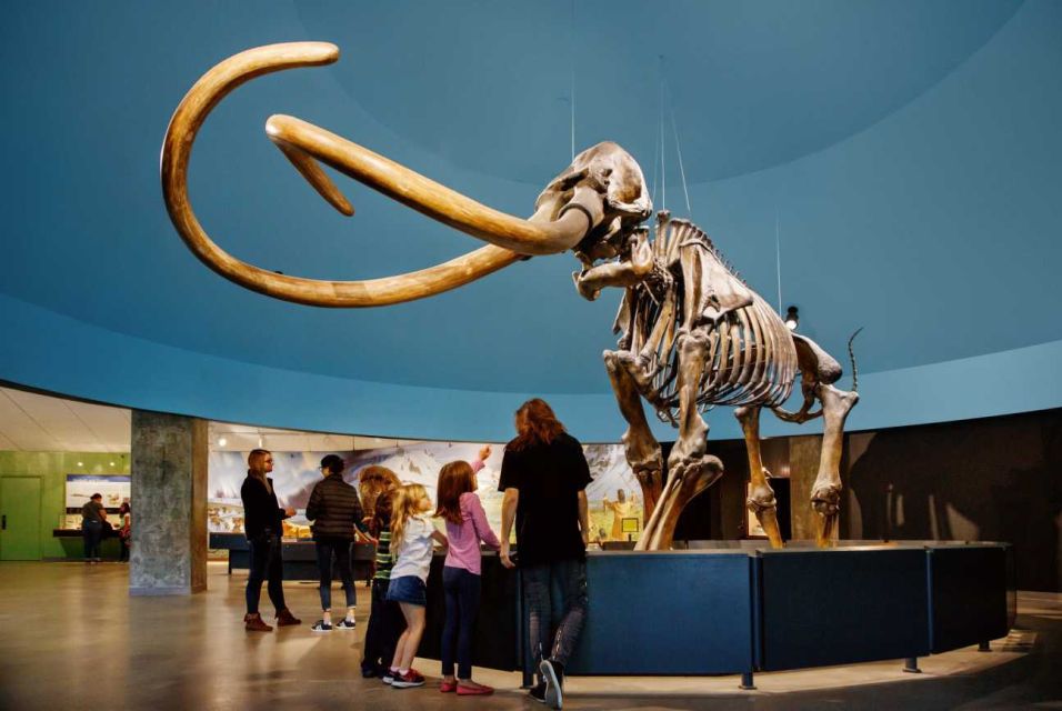 Los Angeles: La Brea Tar Pits Museum Ticket - Excavator Tour Availability