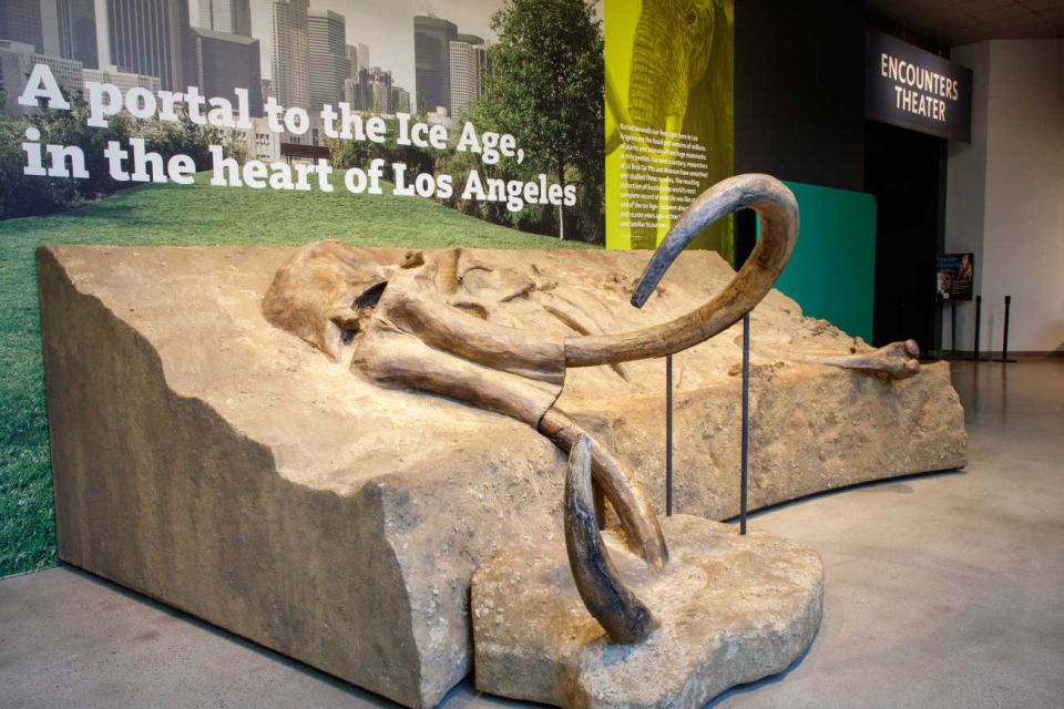 Los Angeles: La Brea Tar Pits Museum Ticket - Plan Your Visit