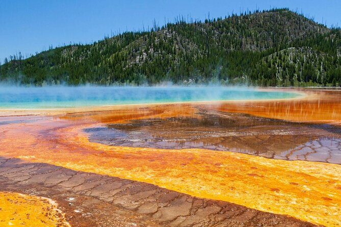 Los Angeles Las Vegas National Parks 8-Day Tour - Exploring the Grand Teton and Yellowstone