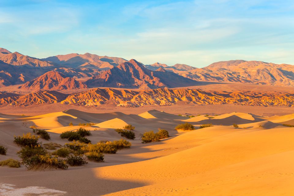 Los Angeles: Las Vegas Overnight Trip With Hoover Dam Tour - Customer Reviews