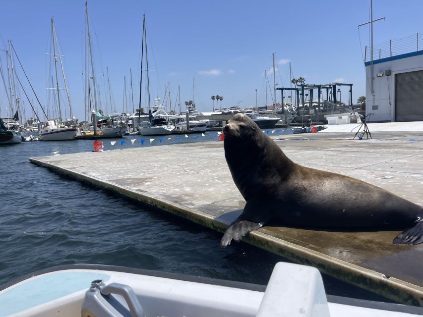 Los Angeles: Marina Del Rey BYOB Cruise - Exploring Venice, Los Angeles