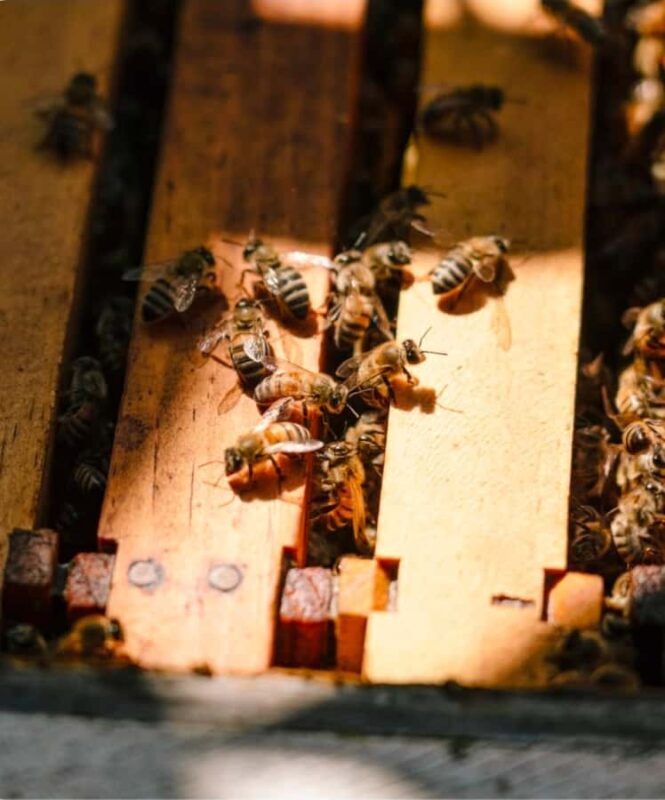 Los Angeles Photo Tour with a Private Photographer - The Itinerary: What You’ll See and Do