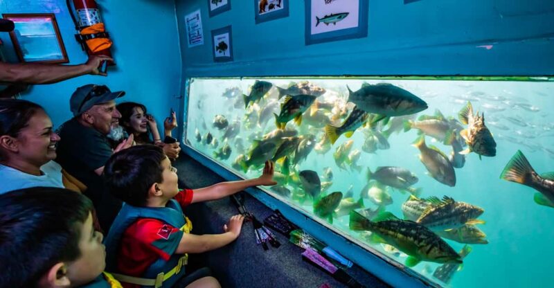 Los Angeles: Redondo Beach Glass Bottom Boat Cruise - Customer Reviews