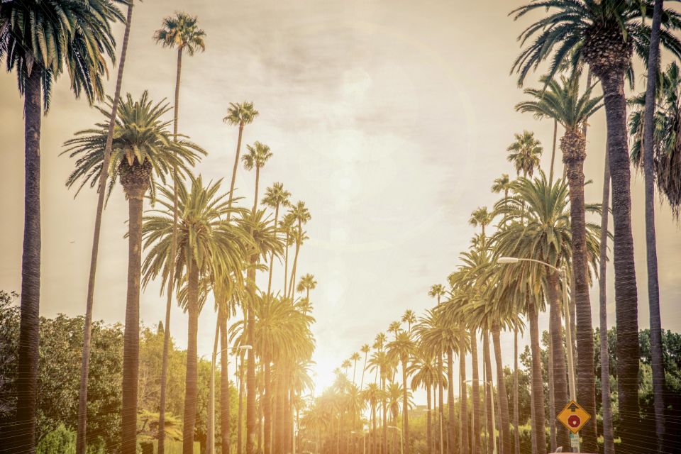 Los Angeles: See LA in a Day by Electric Bike - Moderate Physical Fitness