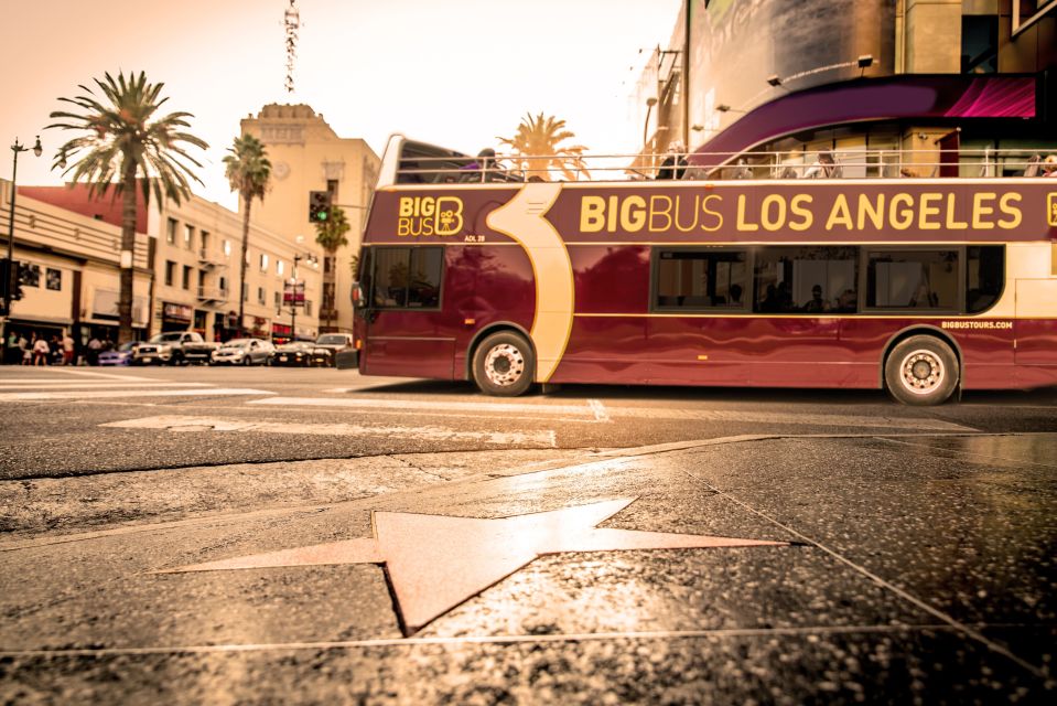 Los Angeles: TMZ Celebrity Tour & 1-Day Hop-on Hop-off Tour - Tour Availability and Booking