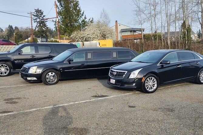 Los Angeles to LA Airport (LAX) - Departure Private Transfer - Accessibility Features