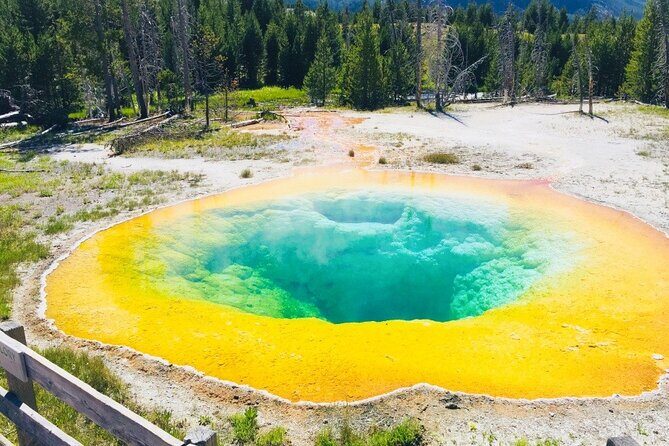 Los Angeles to Las Vegas Yellowstone National Park 7 Day Tour - Final Thoughts