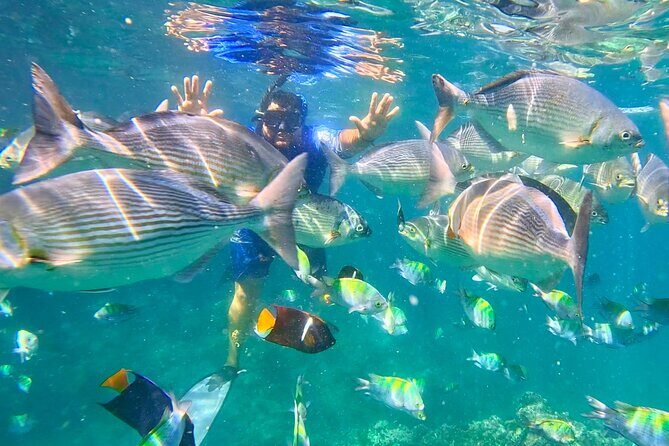 Los Arcos 5 islands Snorkeling Cliff Jumping and Hidden Beach - The Itinerary in Detail