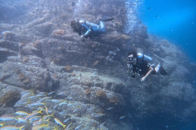 Los Cabos 1 tank dive to Lands End (Certified Divers) - The Practical Side of Things