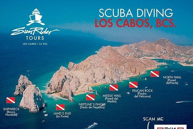 Los Cabos 1 tank dive to Lands End (Certified Divers) - The Sum Up