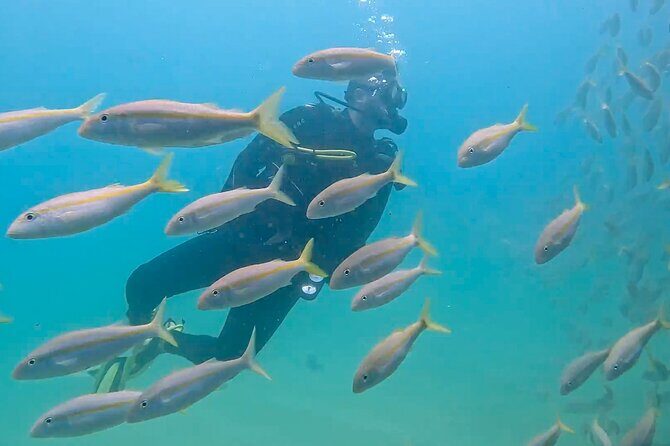 Los Cabos 2 tanks dive to The Corridor (Certified divers) - Frequently Asked Questions