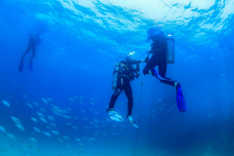 Los Cabos: 3-Hour Introductory Scuba Diving Adventure - Explore the Underwater World