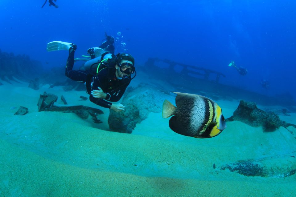 Los Cabos: 3-Hour Introductory Scuba Diving Adventure - Diving Instruction and Conditions
