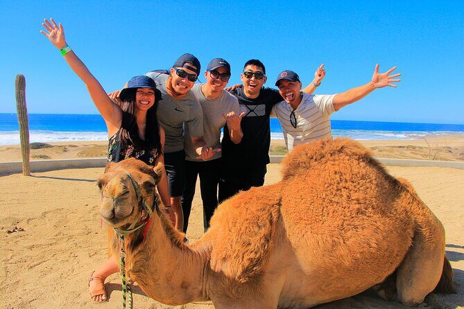 Los Cabos 3 in 1 Adventure: Camel Ride, Lunch and Arch Boat Tour - The Itinerary in Detail