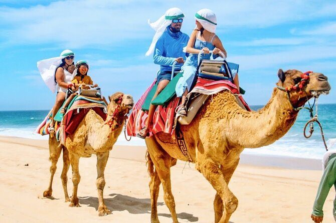 Los Cabos 3 in 1 Adventure: Camel Ride, Lunch and Arch Boat Tour - Practical Details: Timing, Group Size, and Price