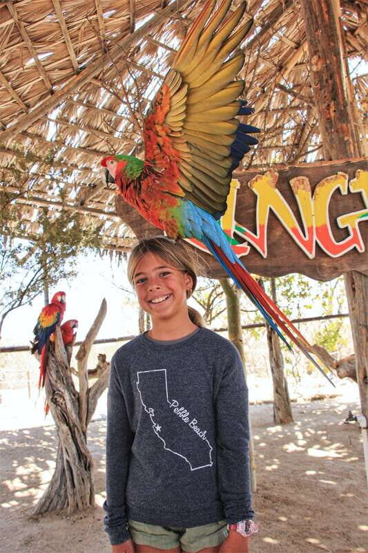 Los Cabos: Animal Encounter & Aqua Park Adventure - Key Points