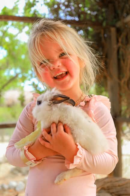 Los Cabos: Animal Encounter & Aqua Park Adventure - An In-Depth Look at the Tour Experience